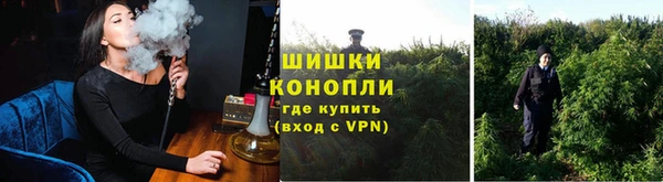 ГАЛЛЮЦИНОГЕННЫЕ ГРИБЫ Баксан