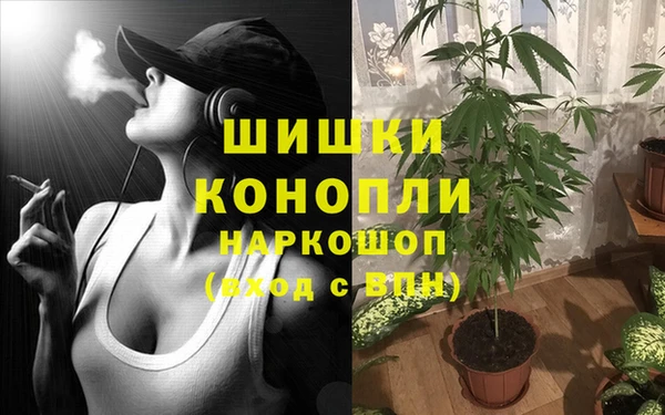 ГАЛЛЮЦИНОГЕННЫЕ ГРИБЫ Баксан