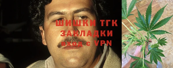 ГАЛЛЮЦИНОГЕННЫЕ ГРИБЫ Баксан
